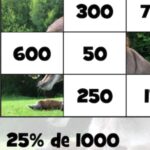 Puzzle: CALCULER les POURCENTAGES