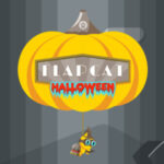 FLAPCAT HALLOWEEN