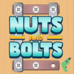 NUTS and BOLTS Screw Puzzle